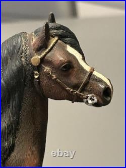 Beautiful B. F. A. Border Fine Arts Bay Welsh Mountain Pony Anne Wall Ltd Ed Ex