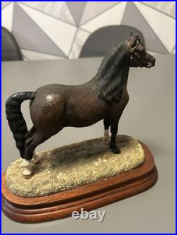 Beautiful B. F. A. Border Fine Arts Bay Welsh Mountain Pony Anne Wall Ltd Ed Ex