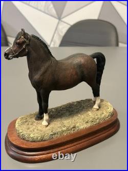 Beautiful B. F. A. Border Fine Arts Bay Welsh Mountain Pony Anne Wall Ltd Ed Ex