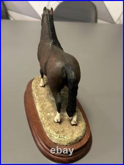 Beautiful B. F. A. Border Fine Arts Bay Welsh Mountain Pony Anne Wall Ltd Ed Ex