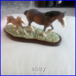 Beautiful Horses by Border Fine Arts Excellent Condition ray ayres no damage