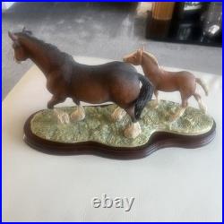Beautiful Horses by Border Fine Arts Excellent Condition ray ayres no damage
