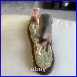 Beautiful Horses by Border Fine Arts Excellent Condition ray ayres no damage