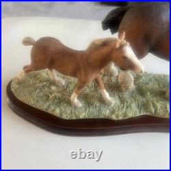 Beautiful Horses by Border Fine Arts Excellent Condition ray ayres no damage