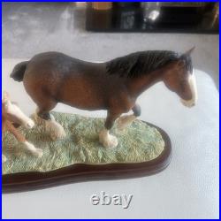 Beautiful Horses by Border Fine Arts Excellent Condition ray ayres no damage