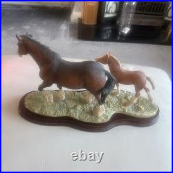 Beautiful Horses by Border Fine Arts Excellent Condition ray ayres no damage