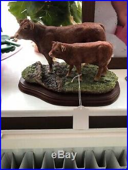 Border Fine Art Limousin Cow & Calf A 8952