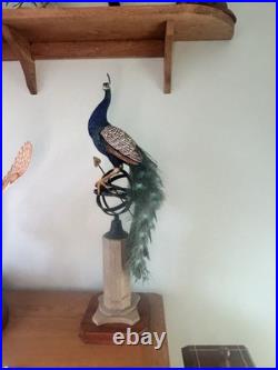 Border Fine Art Peacock Limited Edition