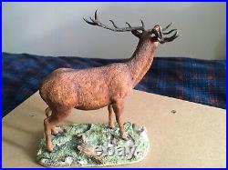 Border Fine Art Red Deer Limited Ed 610/750 By Ray Ayres 1979 On Plinth