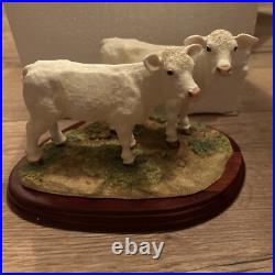 Border Fine Art's Charolais Calf's A5275 Ornament