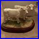 Border-Fine-Art-s-Charolais-Calf-s-A5275-Ornament-01-zbu