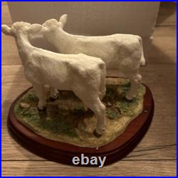 Border Fine Art's Charolais Calf's A5275 Ornament