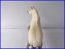 Border Fine Arts 126B Shire Gelding Grey Horse Figure Designed By A Wall