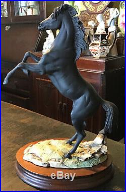 Border Fine Arts 1987 Ltd Ed. Fred Stone The Black Stallion Returns. Wood Plinth