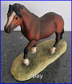 Border Fine Arts 1992 Welsh Mountain Pony 127A No Box Excellent Condition Rare Border Fine Arts 1992 Welsh Mountain Pony 127A No Box Excellent Condition Rare