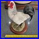 Border-Fine-Arts-739448-Birds-by-Russell-Willis-Cockerel-White-Figurine-Unboxed-01-crhx