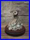 Border-Fine-Arts-A-Little-Owl-Style-Figurine-Model-No-B00900-by-Ray-Ayres-1988-01-nvje
