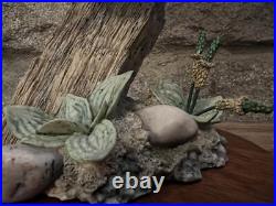 Border Fine Arts A Little Owl Style Figurine Model No. B00900 by Ray Ayres 1988