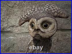 Border Fine Arts A Little Owl Style Figurine Model No. B00900 by Ray Ayres 1988