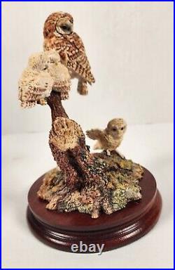 Border Fine Arts'A Watchful Eye' Model No SOC8 Female Tawny Owl And Owlets