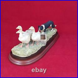 Border Fine Arts A wild Goose Chase B0088 With CaO Boxed BFA 5466