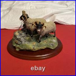 Border Fine Arts A1017 Bolted By James Herriot Rams