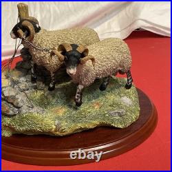 Border Fine Arts A1017 Bolted By James Herriot Rams