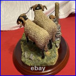 Border Fine Arts A1017 Bolted By James Herriot Rams