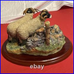 Border Fine Arts A1017 Bolted By James Herriot Rams