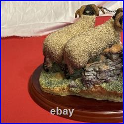 Border Fine Arts A1017 Bolted By James Herriot Rams