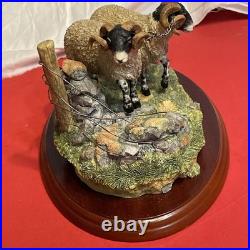 Border Fine Arts A1017 Bolted By James Herriot Rams