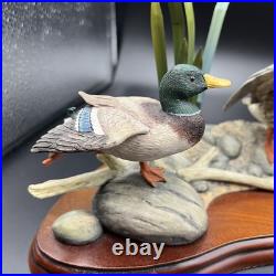 Border Fine Arts A1872 Sunny Afternoon Mallards Figure Wooden Base 2002 RARE VGC