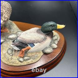 Border Fine Arts A1872 Sunny Afternoon Mallards Figure Wooden Base 2002 RARE VGC