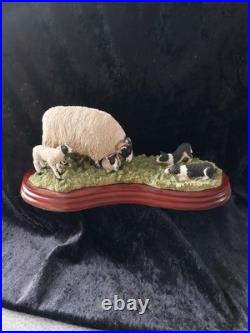 Border Fine Arts A5914 Come No Closer. 2005, J Herriot Collection Hans Kendrick