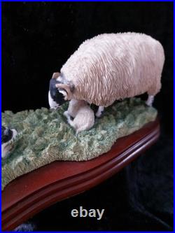 Border Fine Arts A5914 Come No Closer. 2005, J Herriot Collection Hans Kendrick