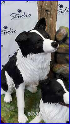 Border Fine Arts A6129 Ready and Waiting Border Collies
