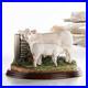 Border-Fine-Arts-A9631-Charolais-Cow-Calf-01-qej