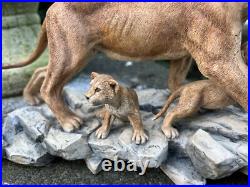 Border Fine Arts African Lioness & Cubs L106. 4/750 Good condition. Unboxed