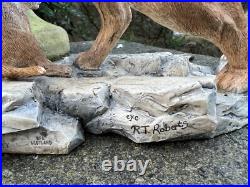 Border Fine Arts African Lioness & Cubs L106. 4/750 Good condition. Unboxed