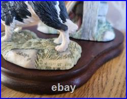 Border Fine Arts All Things Wise And Wonderful JH58 JH59 Border Collie Figurine