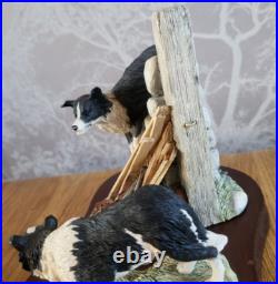 Border Fine Arts All Things Wise And Wonderful JH58 JH59 Border Collie Figurine
