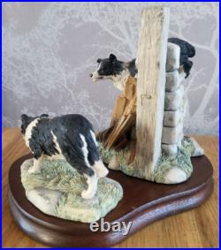 Border Fine Arts All Things Wise And Wonderful JH58 JH59 Border Collie Figurine