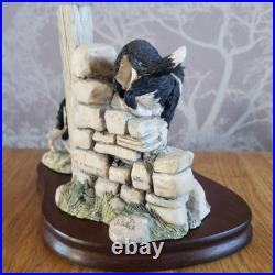 Border Fine Arts All Things Wise And Wonderful JH58 JH59 Border Collie Figurine