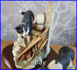 Border Fine Arts All Things Wise And Wonderful JH58 JH59 Border Collie Figurine
