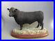 Border-Fine-Arts-Angus-Bull-A26896-The-Cattle-Collection-01-mifn