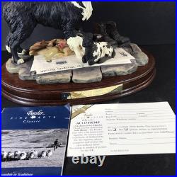 Border Fine Arts Auld Hemp Collie Dog Lamb 25th Anniversary Piece 1999 boxed