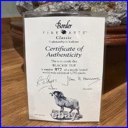 Border Fine Arts B0354 Blackie Tup with certificate of authenticity
