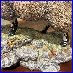 Border Fine Arts B0354 Blackie Tup with certificate of authenticity