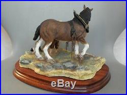 Border Fine Arts B0770 Cooling His Heels Clydesdale Gelding Limited Edition