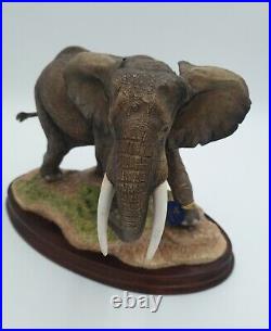 Border Fine Arts B1120 African Elephant By R J Roberts